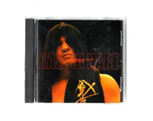 AYUMI NAKAMURA 'KAZE NI NARE' MINORU SUZUKI THEME MUSIC CD