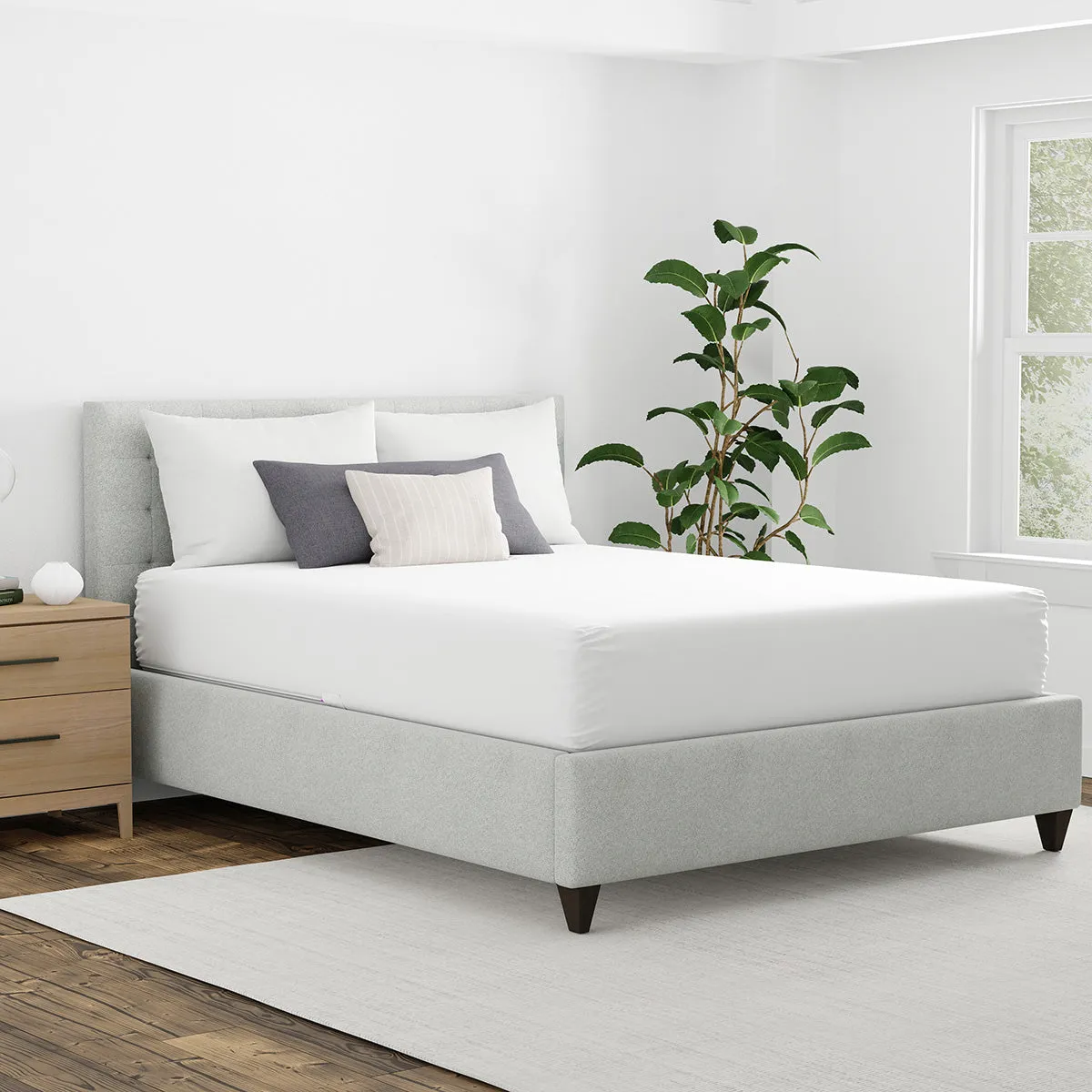Maximum Allergy   Bed Bug Protection Mattress Protector