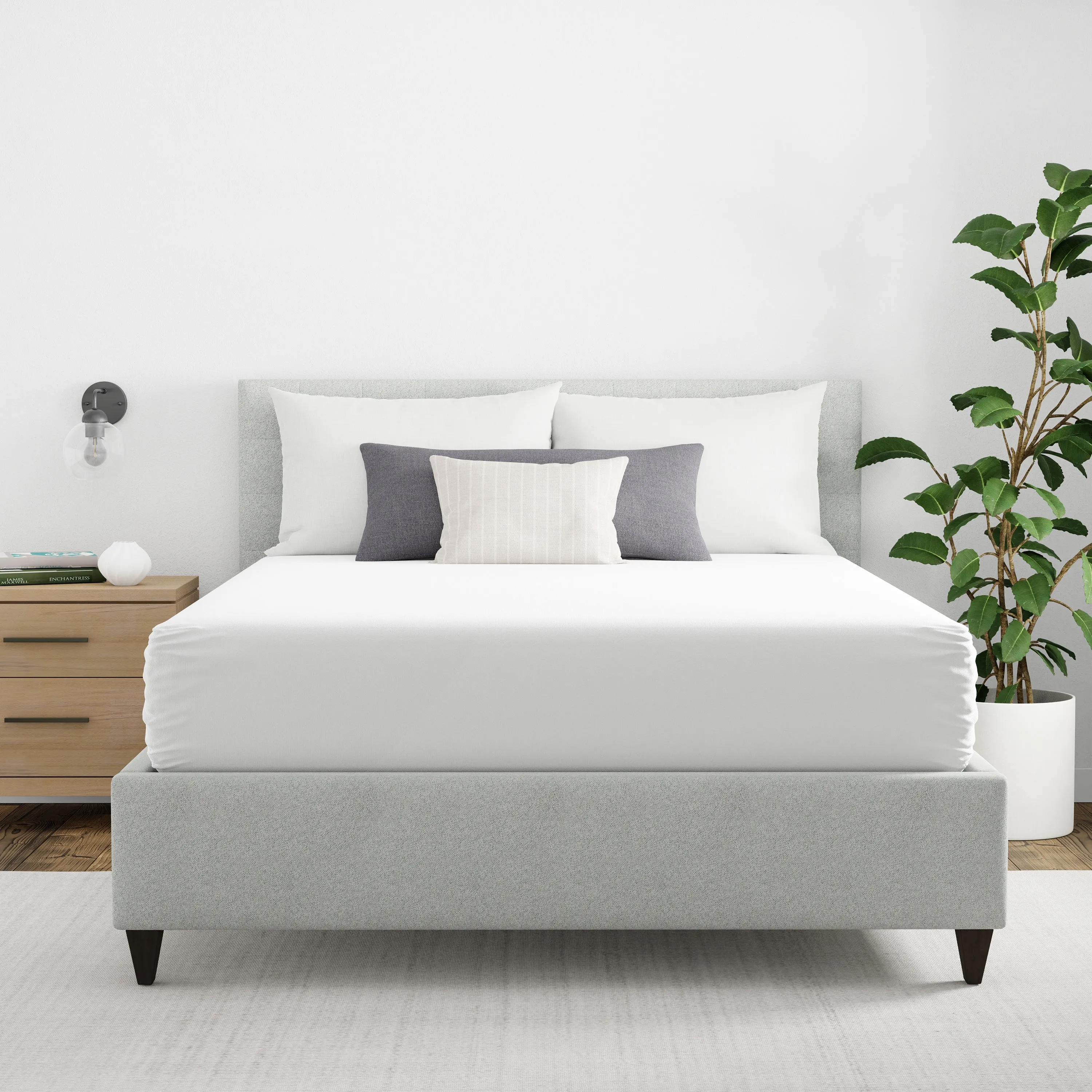 Maximum Allergy   Bed Bug Protection Mattress Protector