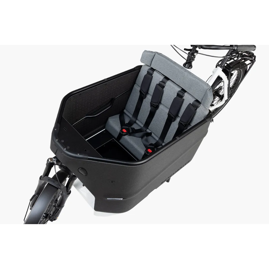 Riese & Muller '24 Packster2 70 Automatic
