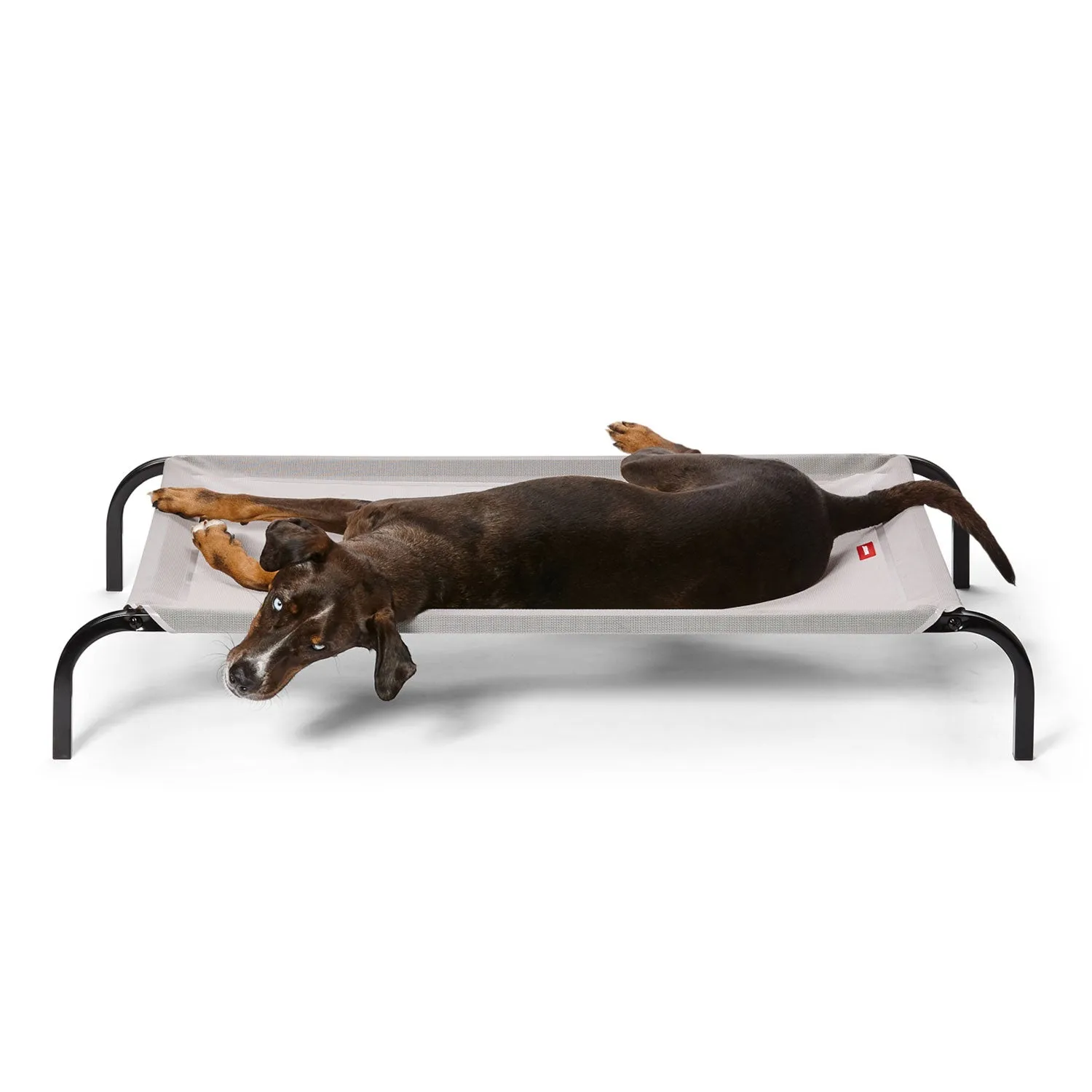 Snooza Flea Free Bed Grey/Black